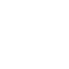 li-logo